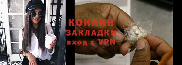 прущий лед Алзамай