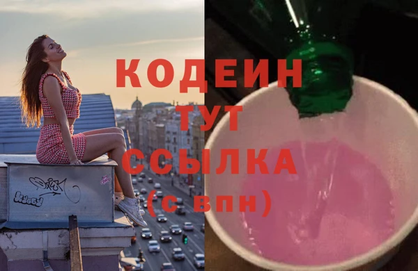 прущий лед Алзамай