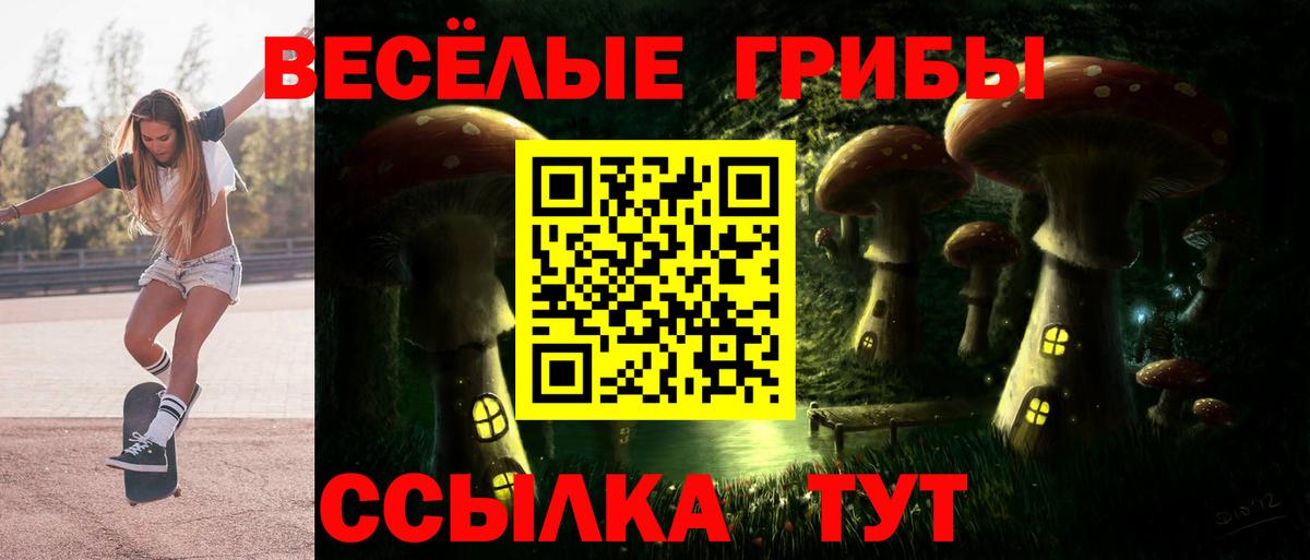 Галлюциногенные грибы GOLDEN TEACHER Белореченск